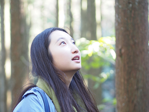 南足柄がつないだ「森」の魅力 日本と中国の学生の森林体験